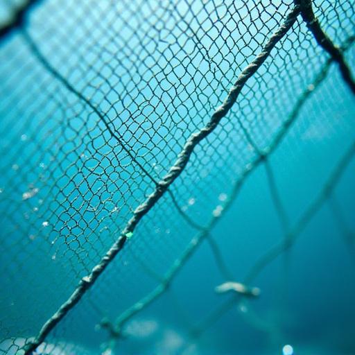 Red para una jaula de acuicultura fabricada a medida